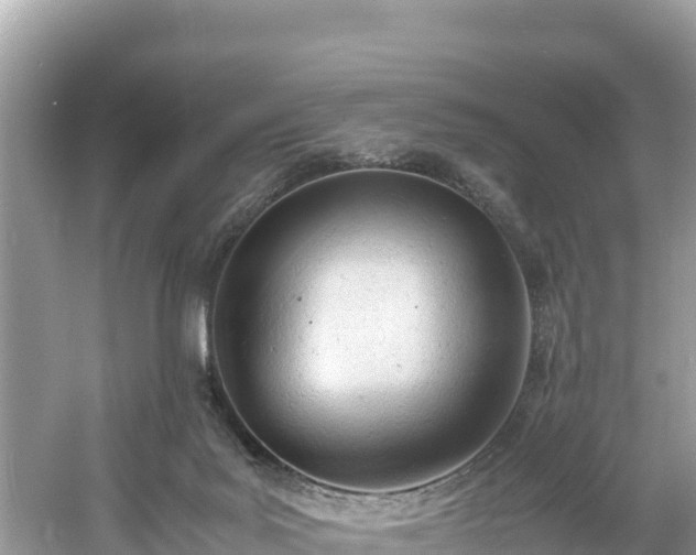 X0000061120027200511211012