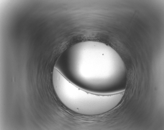 X0000061120033200511211012