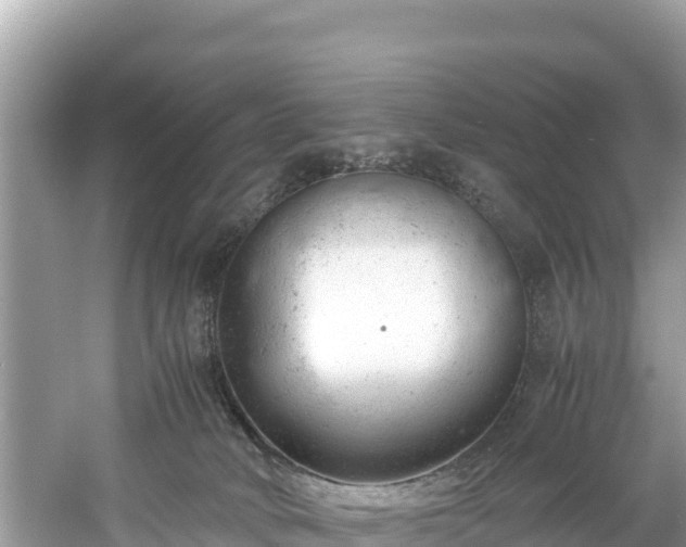 X0000061120034200511211012