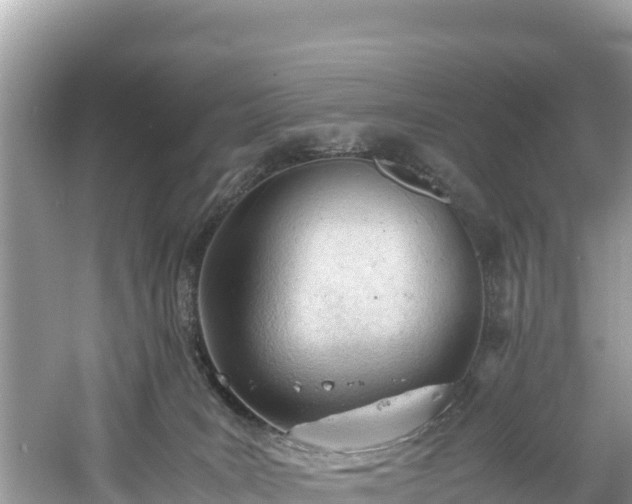 X0000061120035200511211012