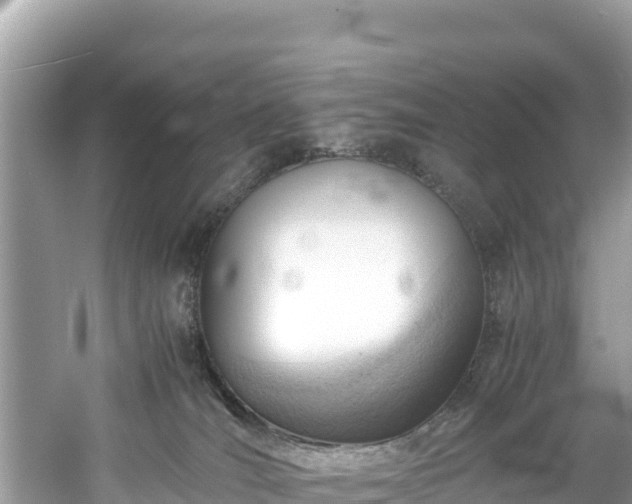 X0000061120036200511211012