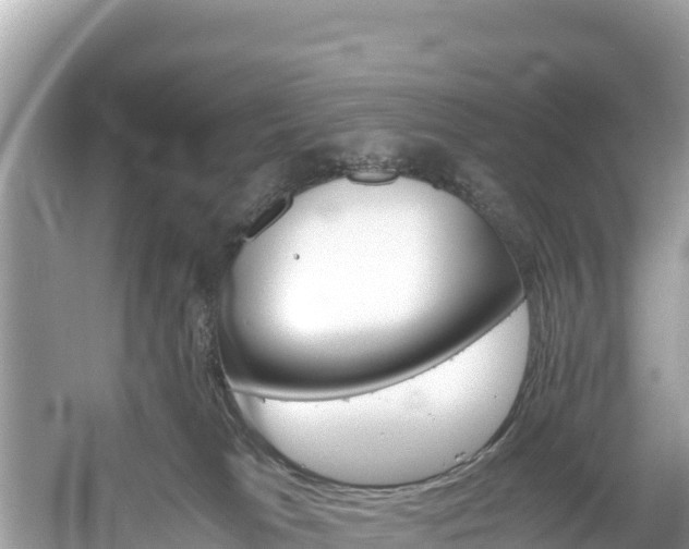 X0000061120037200511211012