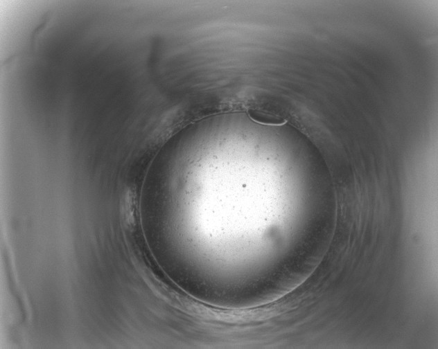 X0000061120038200511211012