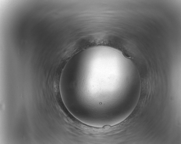 X0000061120039200511211012