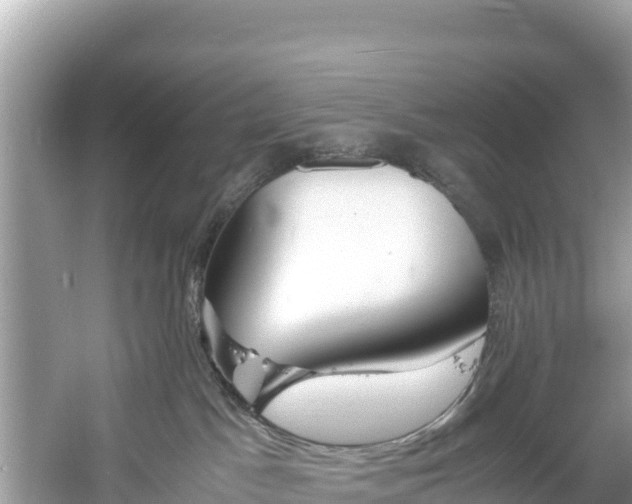 X0000061120045200511211012