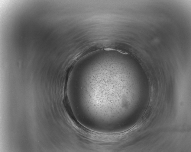 X0000061120048200511211012