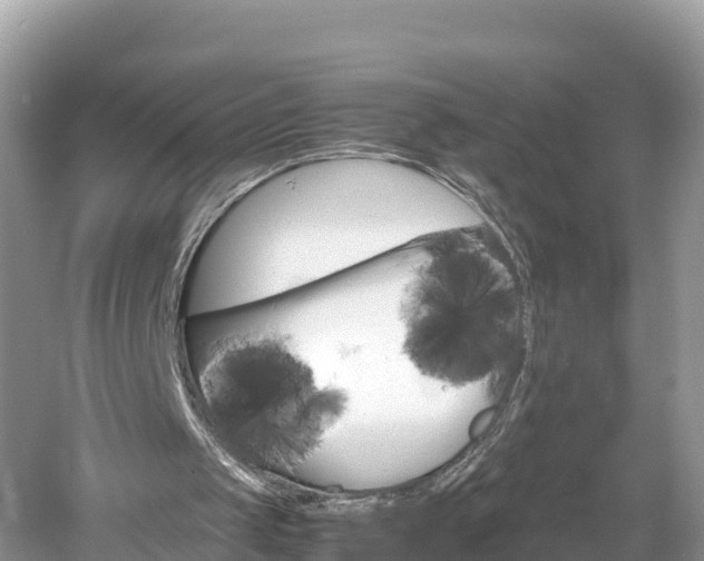 X0000061120049200511211011