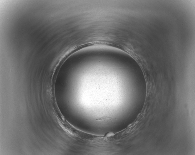 X0000061120050200511211011