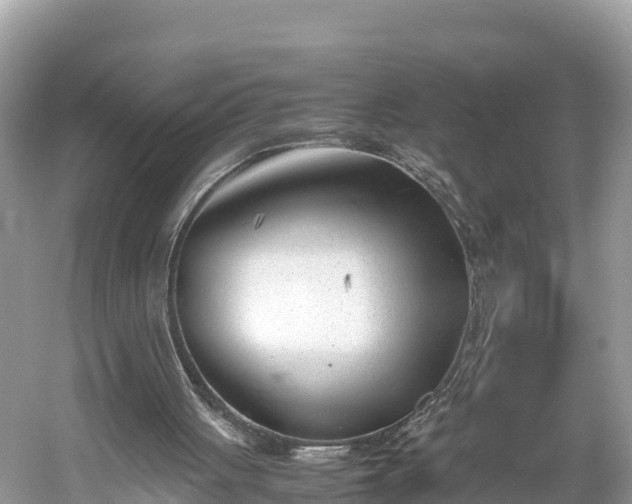 X0000061120051200511211011