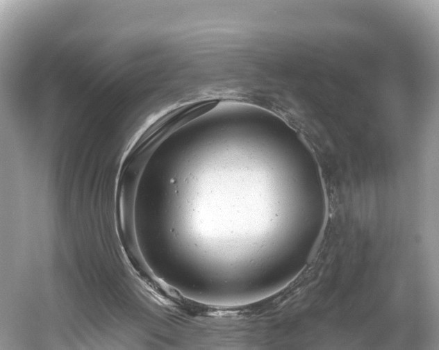 X0000061120052200511211011