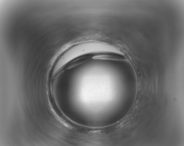 X0000061120054200511211011