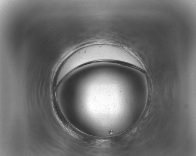 X0000061120055200511211011