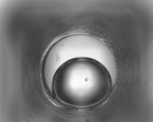 X0000061120056200511211011