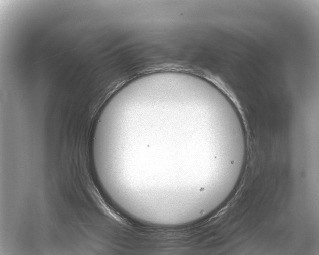 X0000061120057200511211011