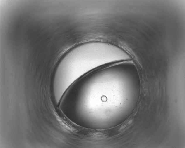 X0000061120058200511211011