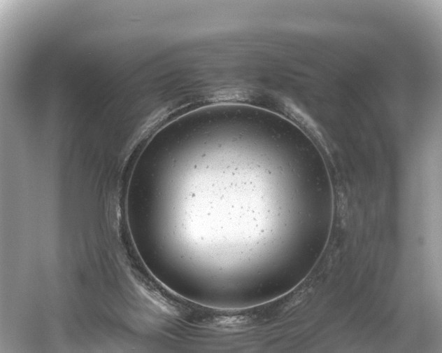 X0000061120059200511211011