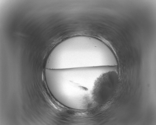 X0000061120061200511211011