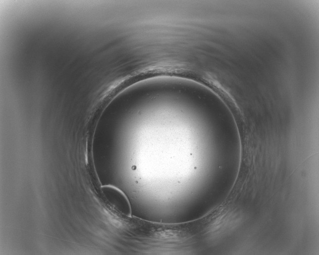 X0000061120062200511211012