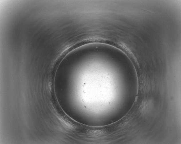 X0000061120063200511211012