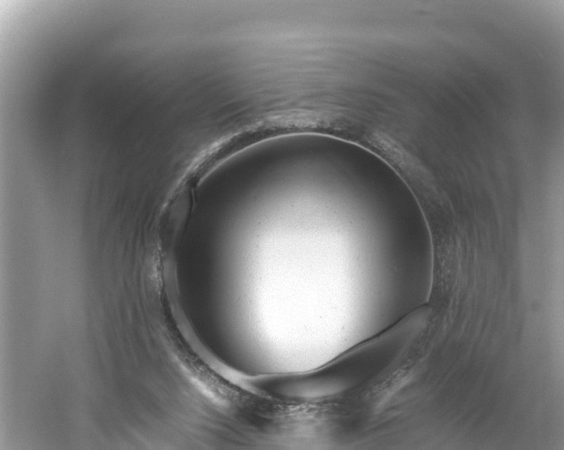 X0000061120064200511211012