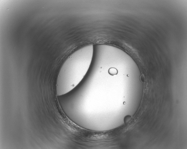 X0000061120065200511211012