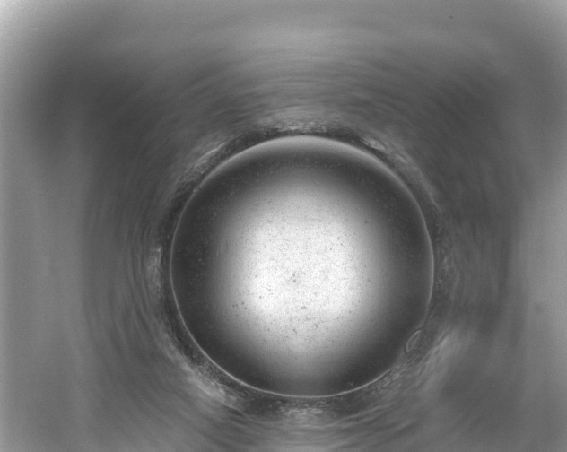 X0000061120066200511211012