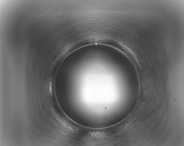 X0000061120067200511211012