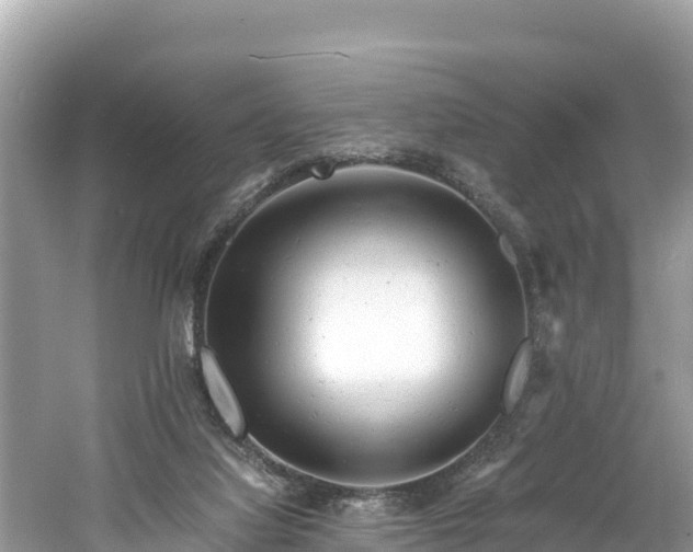 X0000061120068200511211012