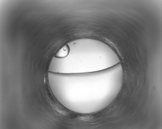 X0000061120069200511211012