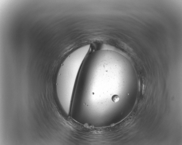 X0000061120071200511211012