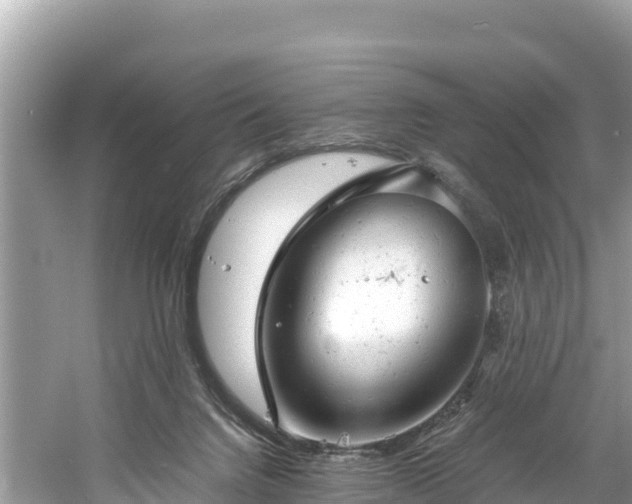 X0000061120072200511211012