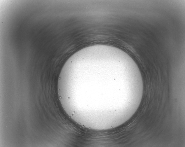 X0000061120073200511211012