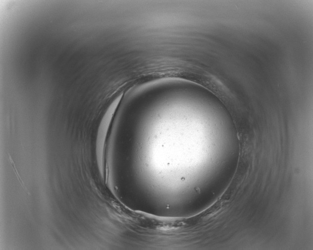 X0000061120076200511211012