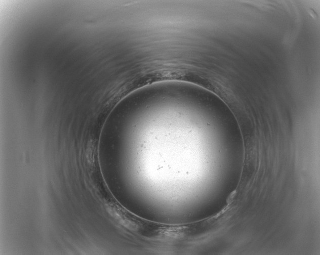 X0000061120078200511211012