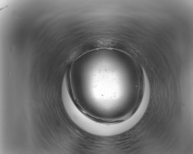 X0000061120079200511211012