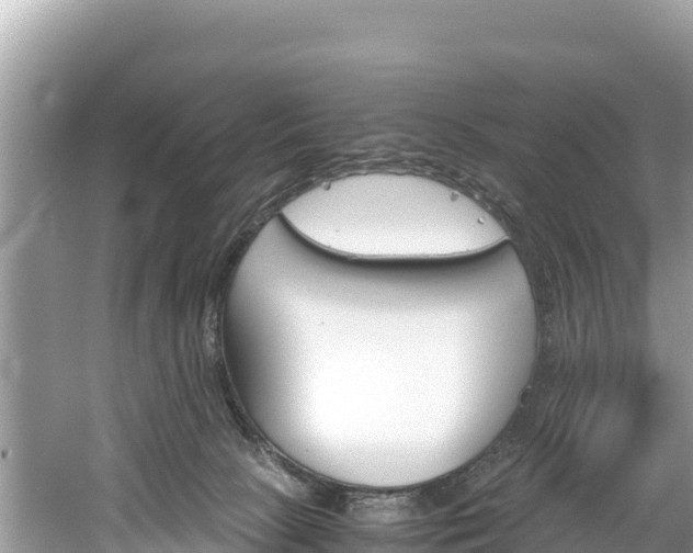 X0000061120081200511211012