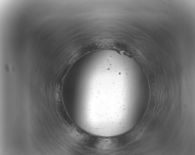 X0000061120083200511211012