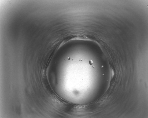 X0000061120084200511211012