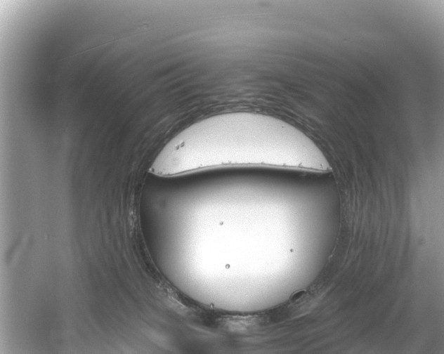 X0000061120085200511211012