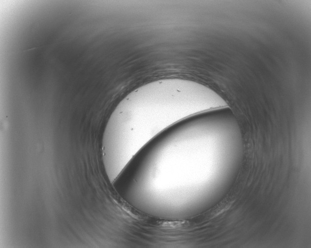 X0000061120089200511211012