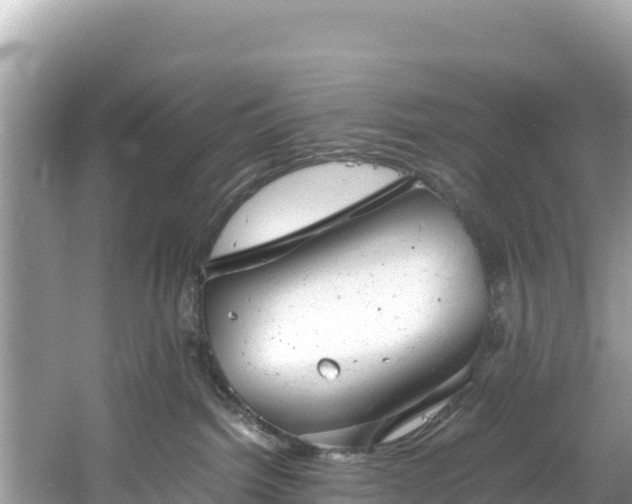 X0000061120092200511211012