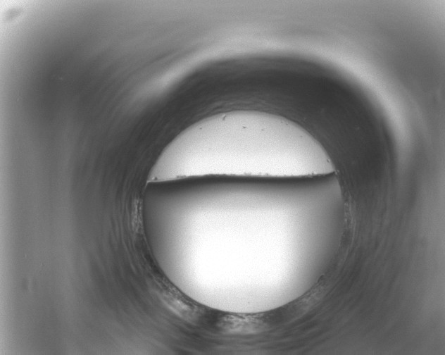 X0000061120093200511211012