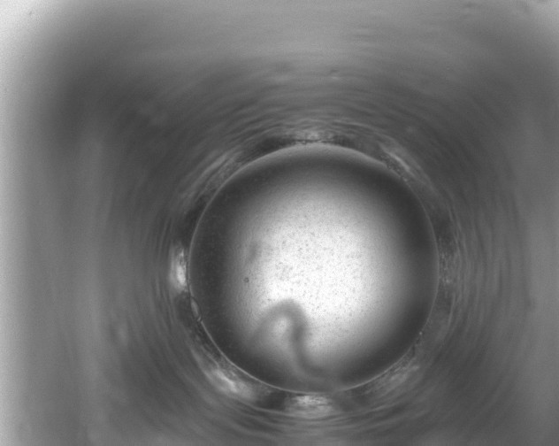 X0000061120095200511211012