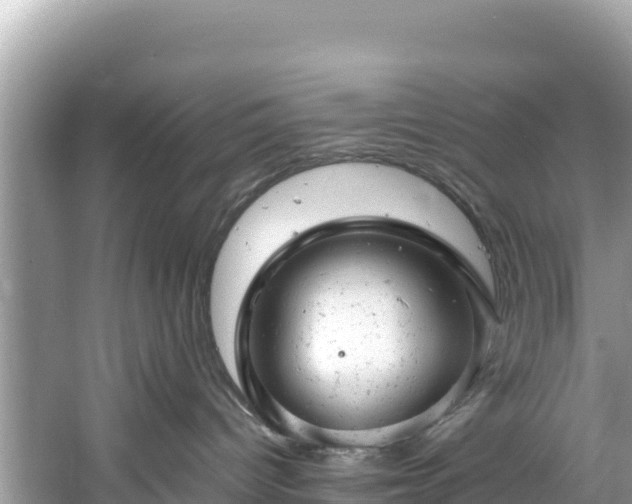 X0000061120096200511211012