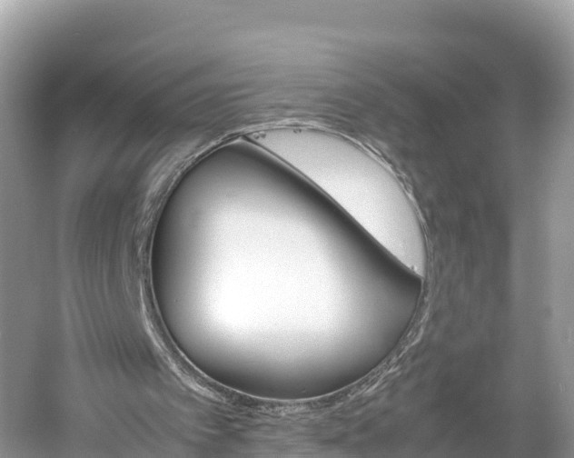 X0000061120097200511211011