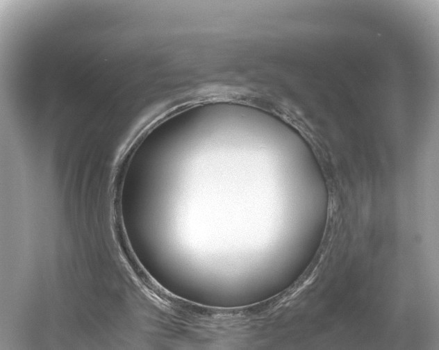 X0000061120101200511211011