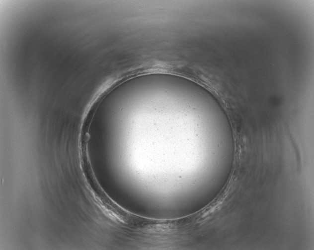 X0000061120102200511211011