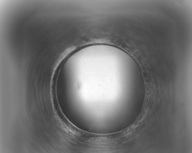 X0000061120104200511211011