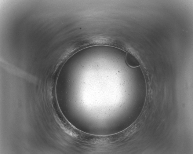 X0000061120106200511211011