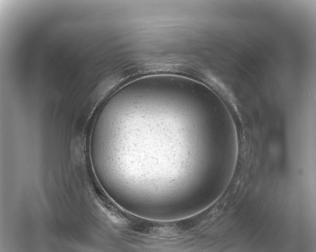 X0000061120107200511211011